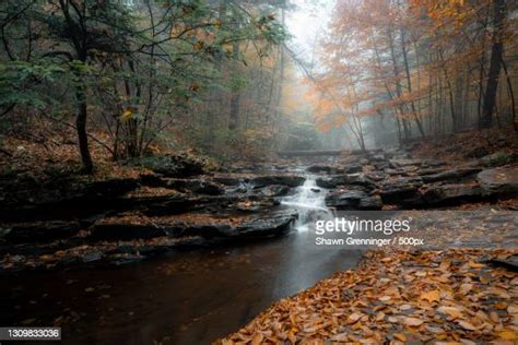Pennsylvania Ricketts Glen State Park Photos And Premium High Res