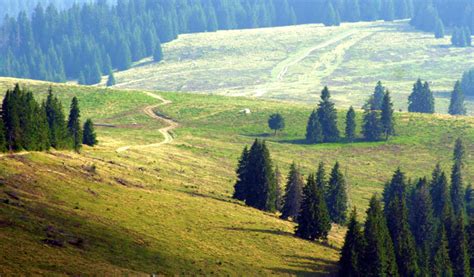 Mountain Scene Free Stock Photo Public Domain Pictures