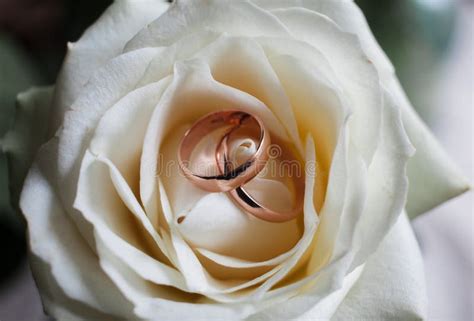 golden wedding rings on bridal bouquet wedding rings on the rose set of wedding rings in rose