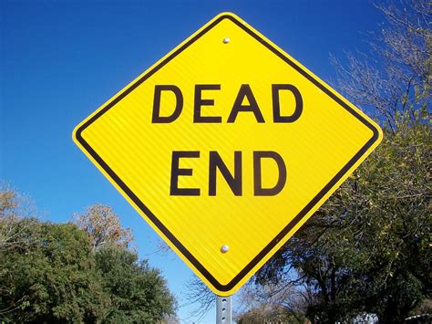 1920x1080px Free Download Hd Wallpaper Dead End Signage Near Tree