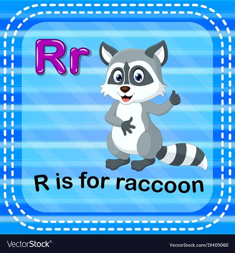 Flashcard Letter R Is For Raccoon Royalty Free Vector Image