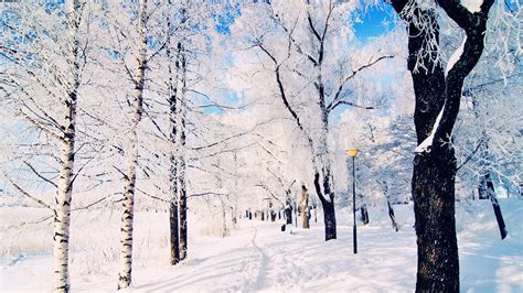 winter wallpaper scenes - HD Desktop Wallpapers | 4k HD
