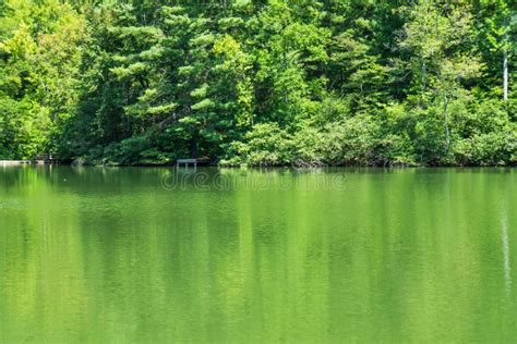 Cave Mountain Lake Reflections 3 Editorial Photography Image Of