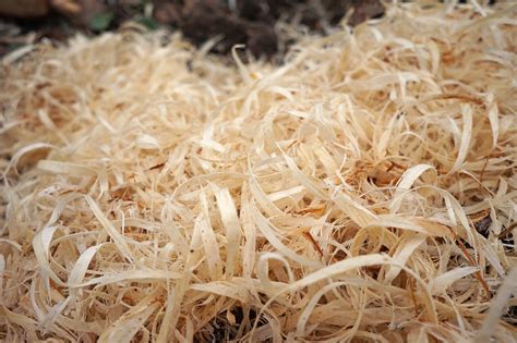 Wood Shavings And Animal Bedding American Pole And Timber