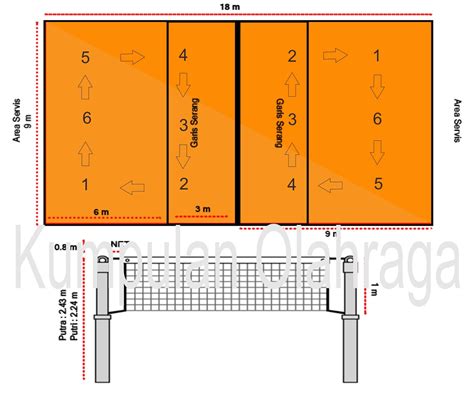 Posisi Pemain Bola Voli Kumpulan Olahraga