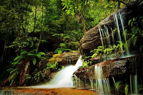 Fondos De Pantalla Bosques Cascadas Piedras Naturaleza Descargar Imagenes