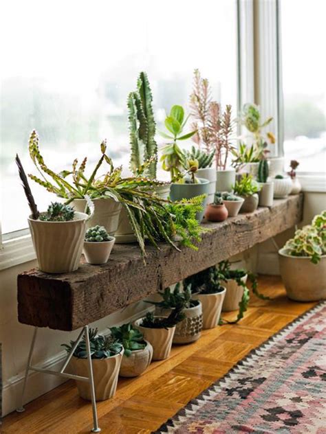 20 Modern Plant Shelf Ideas For Small Space Homemydesign