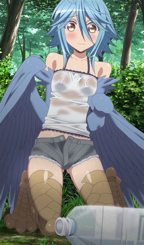Wet Bird Monster Musume Daily Life With Monster Girl Know Your Meme