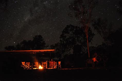 True Wild Outfitter Bush Camp Hunt Hunting Trips Australia