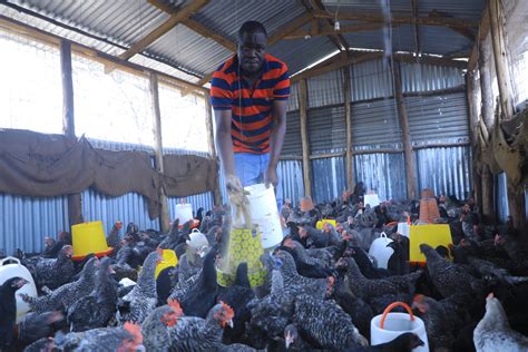 Sustaining Livelihoods Through Poultry Farming In Northern Kenya Acdi