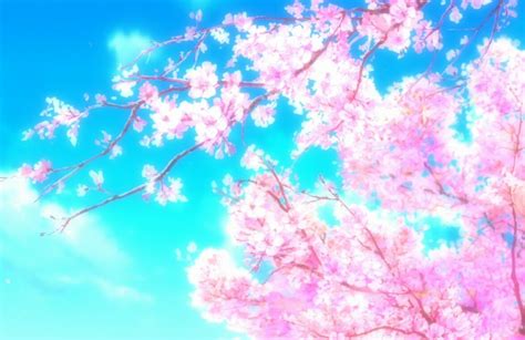 50 Great Cherry Blossom Kawaii Anime Wallpaper Best Wallpaper