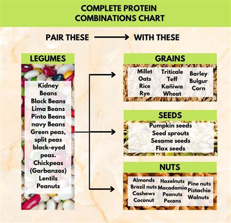 Complete Proteins Combinations Chart Guide For Vegans