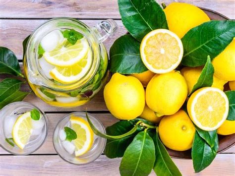 Kebiasan minum air lemon tiap pagi mungkin kerap dilakukan sebagian orang untuk mendapatkan berbagai manfaat tersebut. Minum Air Lemon untuk Buka Puasa, Amankah?