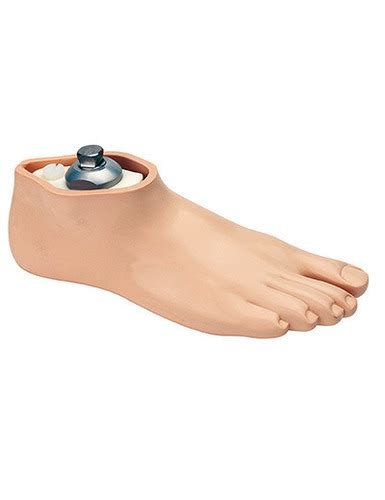 Senior Prosthetics Foot View Specifications And Details Of
