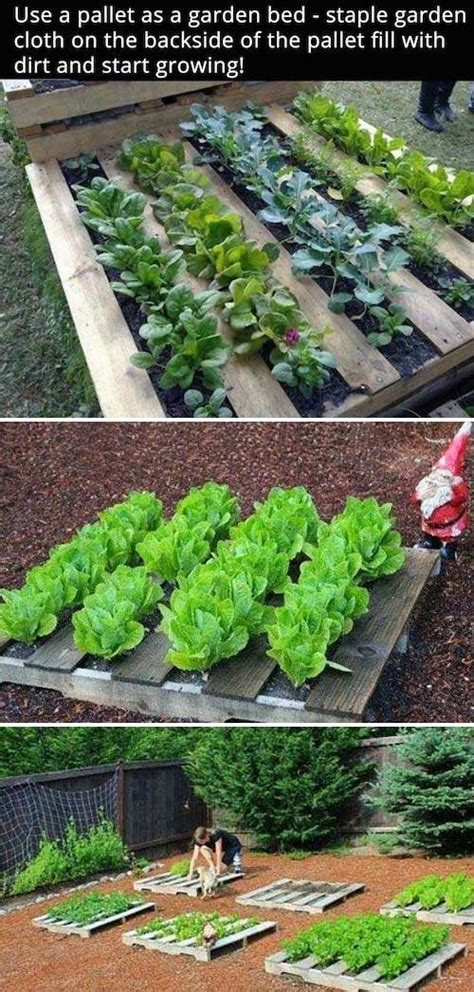 Vegetables need at least six to eight hours of direct sun each day. The Secrets to Growing a Vegetable Garden in Small Space ...