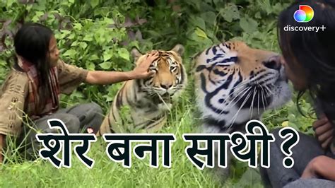इंसान का साथी बाघ Bengal Tiger Pet Preposterous Pets Discovery