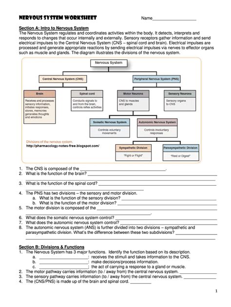 Nervous System Worksheet Answers Fill Out And Sign Online Dochub