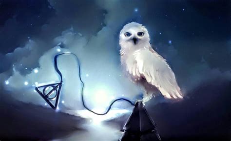 Pin By Sanski D On Harry Potter Harry Potter Owl Harry Potter