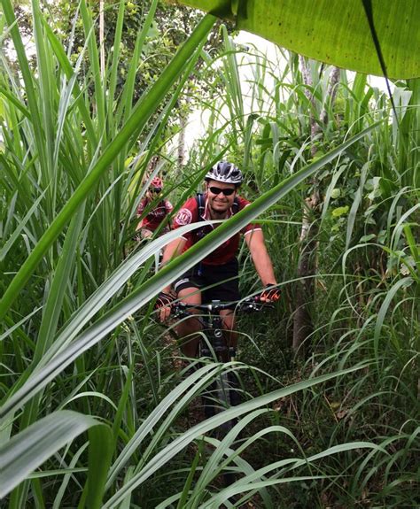 Bicycleindonesia.com is committed to local bike shops and bringing its readers useable information about the bicycling community in indonesia. Indonesia bicycle tours | Bike tours and cycling holidays ...