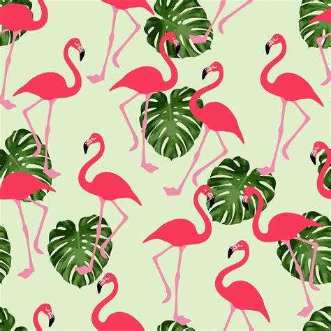 Flamingo Wallpaper Background Free Stock Photo Public Domain Pictures