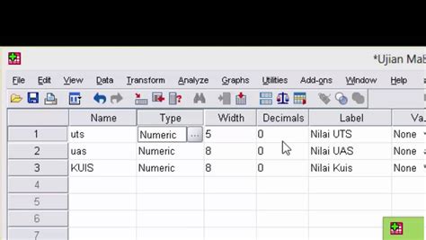 Cara Mudah Input Data Kuesioner dari Excel ke SPSS