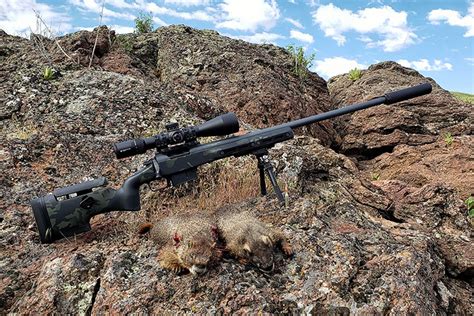 How Accurate Is Factory Ammo When Paired With A Custom 6mm Creedmoor