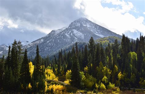 Light Snow On An Autumn Day Overlooking The Rocky Mountains Big