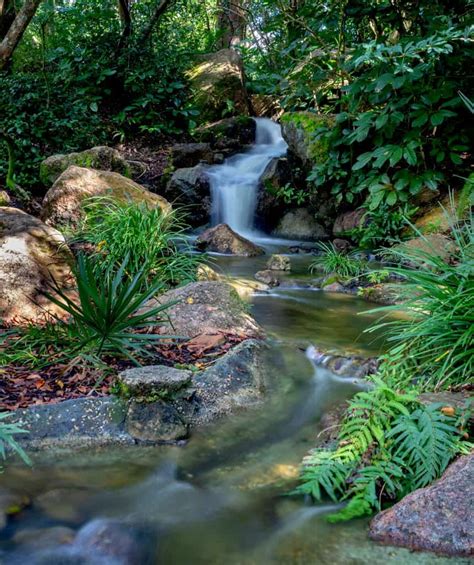 9 Prettiest Waterfalls In Florida Florida Trippers