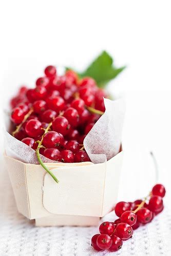 But in general, red headed lizards are venomous. Red currants | °La ciliegina° | Flickr