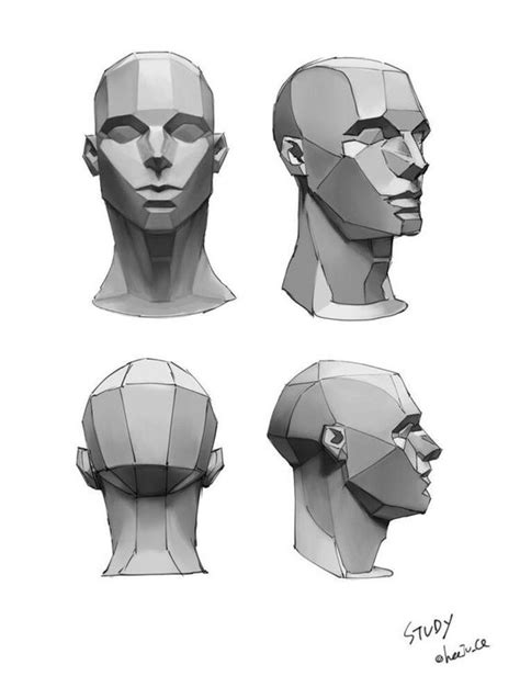 Face Anatomy Human Anatomy Drawing Drawing Heads Face Drawing Face
