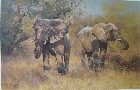 Paintings African Wildlife Artist Dino Paravano Animal Paintings