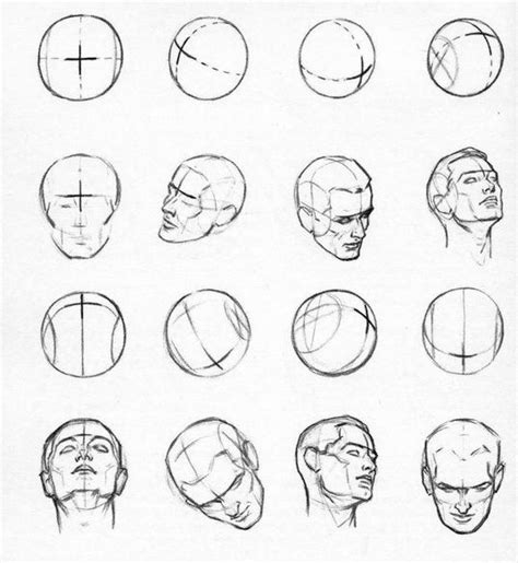 Andrew Loomis Head Drawing Heads Human Drawing Drawing The Human Head