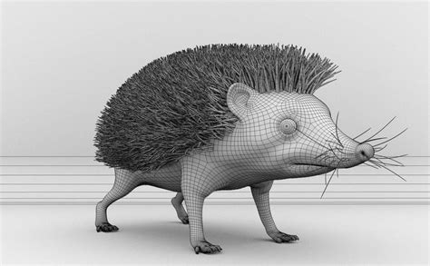 Hedgehog 3d Model By Viverna