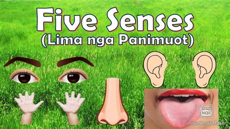 Five Senses Bisaya Ll Lima Ka Panimuot Ll 5 Senses For Kindergarten