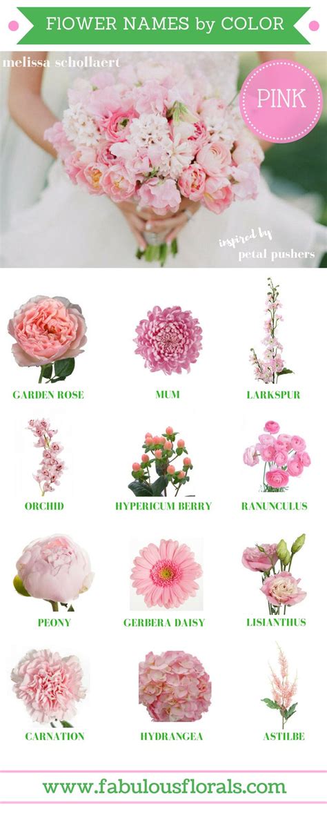 Check spelling or type a new query. The 25+ best Pink flower names ideas on Pinterest | Blush ...