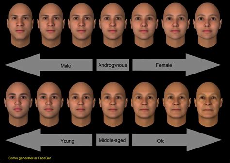 Study Finds That The Same Face May Look Male Or Female Depending On