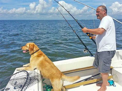 How Your Dog Can Become The Ultimate Fishing Trip Companion Coastal