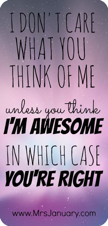 I Dont Care What You Think Of Me Unless You Think Im Awesome In