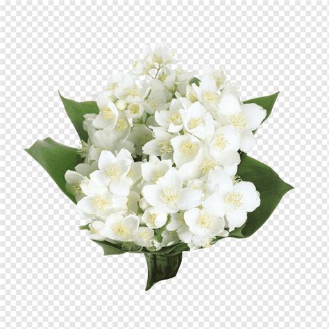 Floral design corner frame vector clipart. Gambar Ilustrasi Bunga Melati - Gambar Ilustrasi