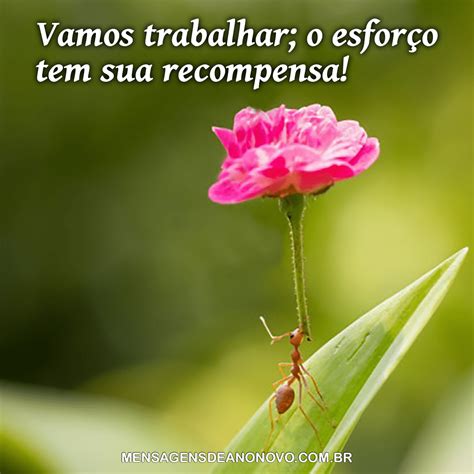Bom Dia Vamos Trabalhar