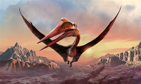 What Were The Largest Flying Dinosaurs Az Animals
