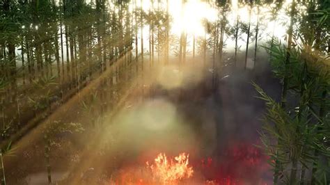 Wind Blowing On A Flaming Bamboo Trees During A Forest Fire Motion
