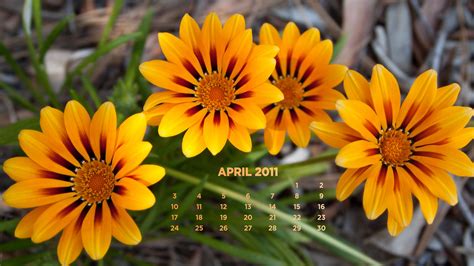 April 2011 Calendar By Pete3072 On Deviantart