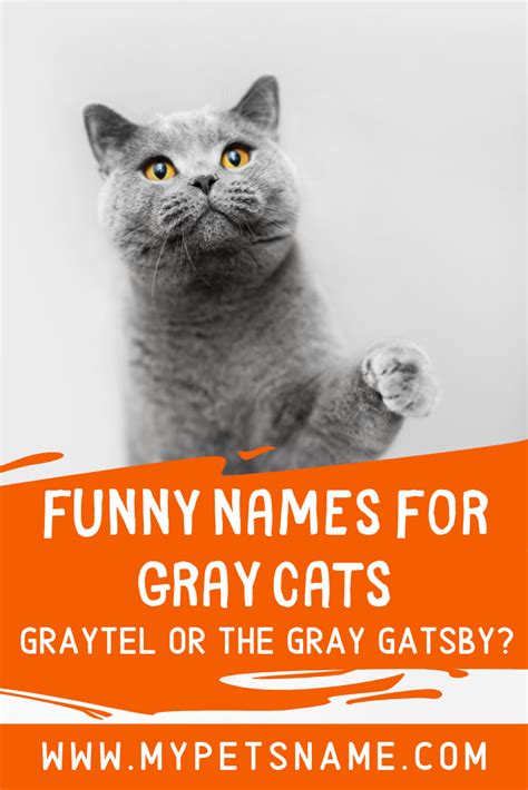 A pun is a literary device that is also known as a play on words. her cat is near the computer to keep an eye on the mouse. How about using a catty pun on the name 'Gretel' to mix ...