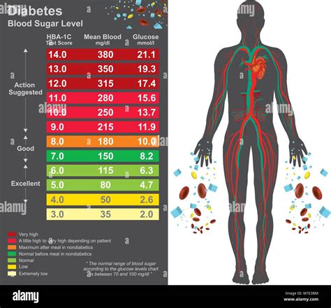 Diabetes Chart Symptoms Of High Blood Sugar Include Frequent Stock Vector Art Illustration