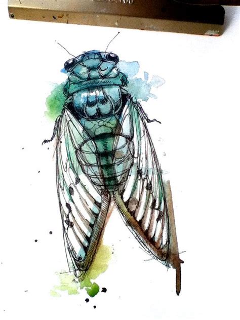 Turquoise Cicada X Print By FinchFight On Etsy Insect Art Watercolor Paintings Of
