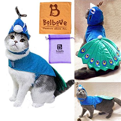 These pet meds provide 6 months of protection against heartworm infection. Cat Costume: Amazon.com