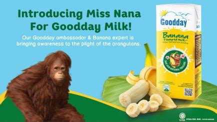 Established in 1968, goodday milk has been gracing homes in malaysia for almost half a century. Goodday Milk Embarks on a Mission to create awareness and ...