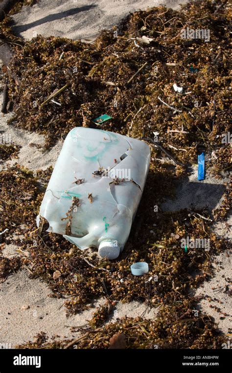 Garbage Trash Rubbish Waste Washed Up On Beach In Seaweed Ocean Coastal