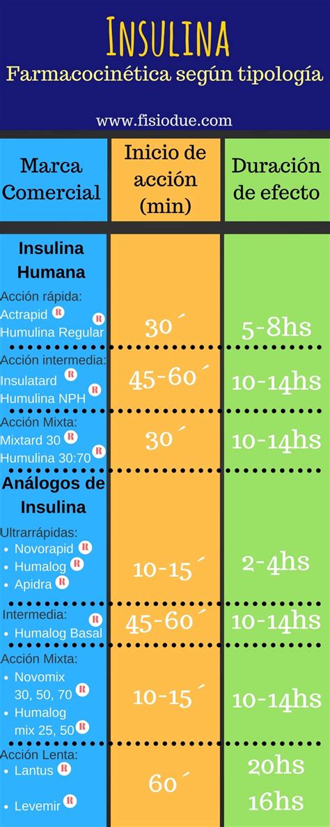 Insulina Farmacocinética Según Tipología Fisiodue Fisioterapia